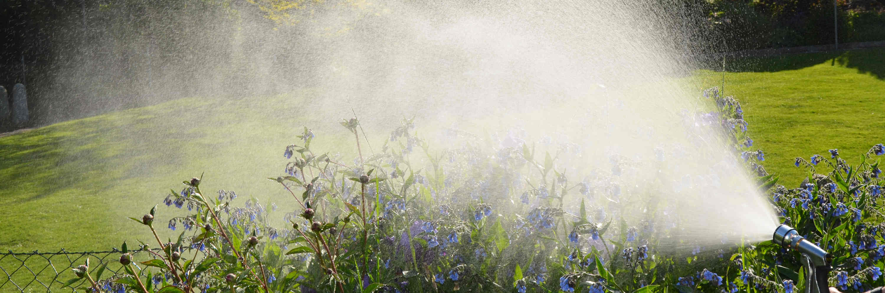 Energetisierter Garten