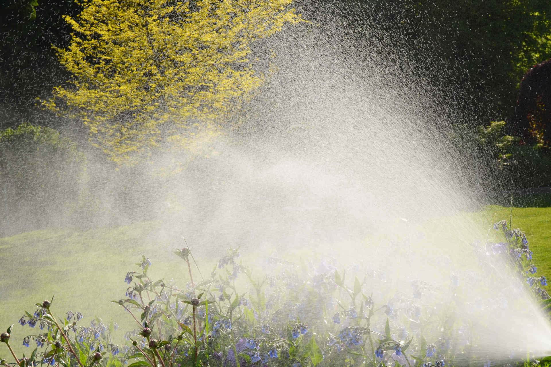 Unio Mystica – Art of Living Water