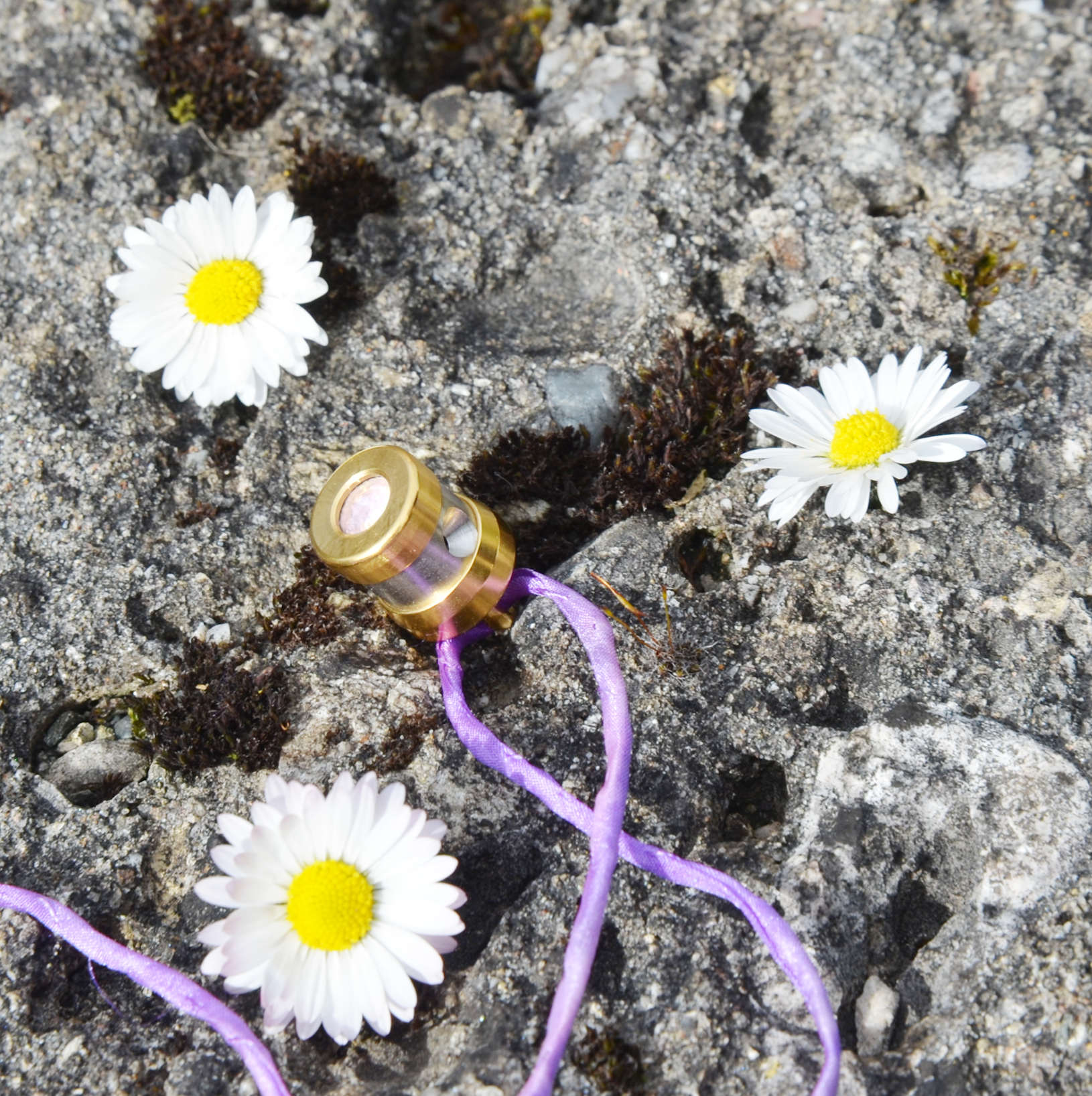 Herzkohärenz Kristallwirbel Schmuckanhänger „Nature Blessing“