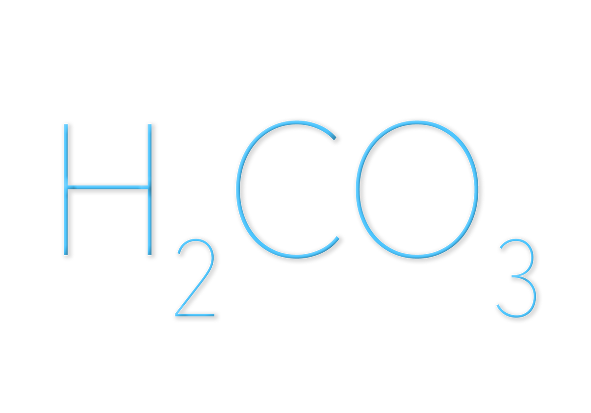 Sprudelmaschine CO2 Karbonator — Sprudel-, Kalt- und Tafelwasser