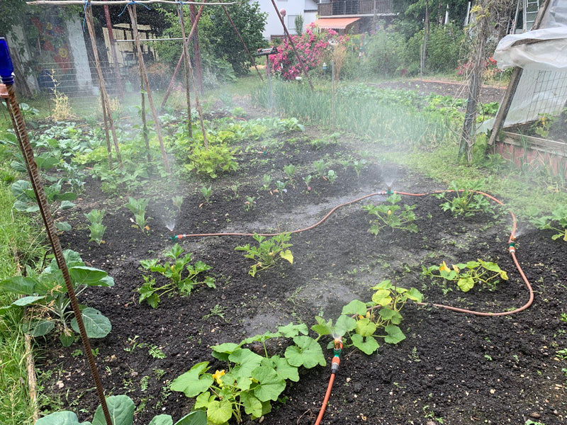 Garten & Beet Wirbel Bewässerung | Aquadea Energie Wasser für Pflanzen