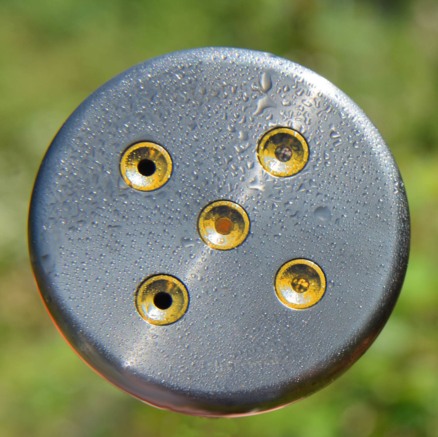Kristallwirbel Duschkopf „Tharan Gold“ - Titan-Ruthenium