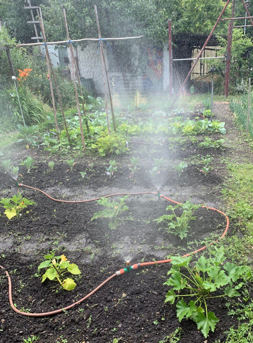 Garten & Beet Wirbel Bewässerung | Aquadea Energie Wasser für Pflanzen