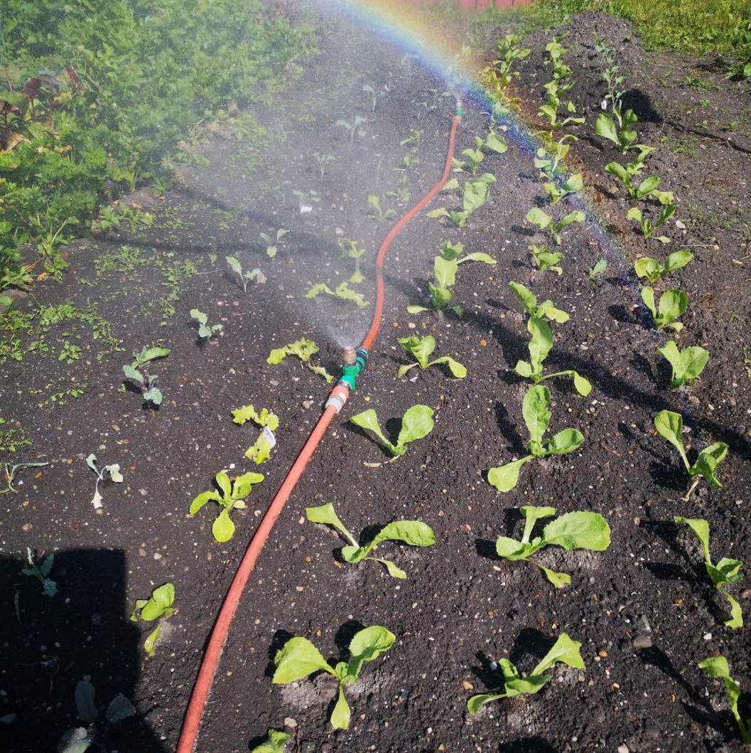 Garten & Beet Wirbel Bewässerung | Aquadea Energie Wasser für Pflanzen