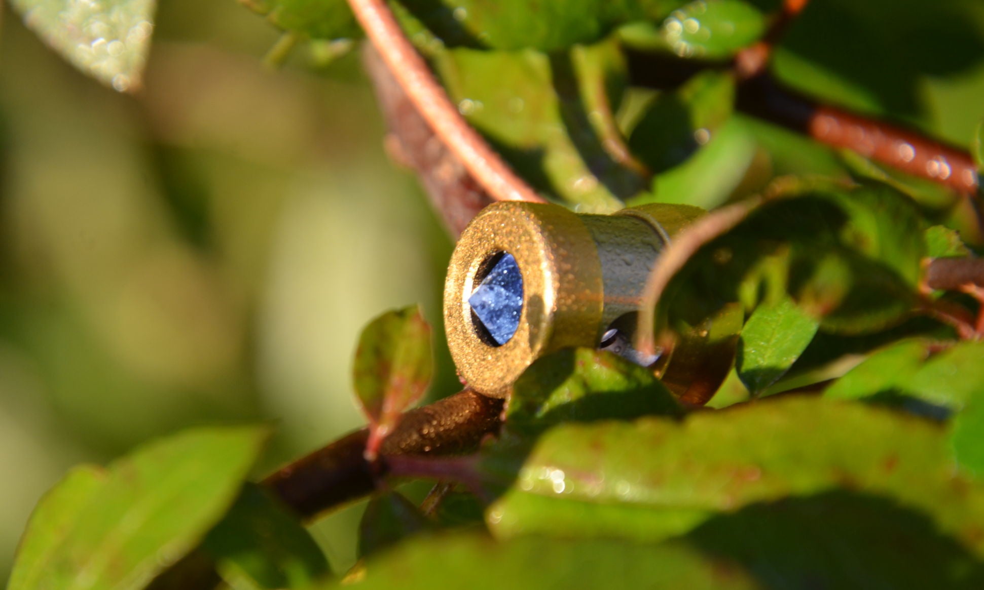 Anhänger: Herzkohärenz Platin-Germanium-Diamant -Rubin -  Gold