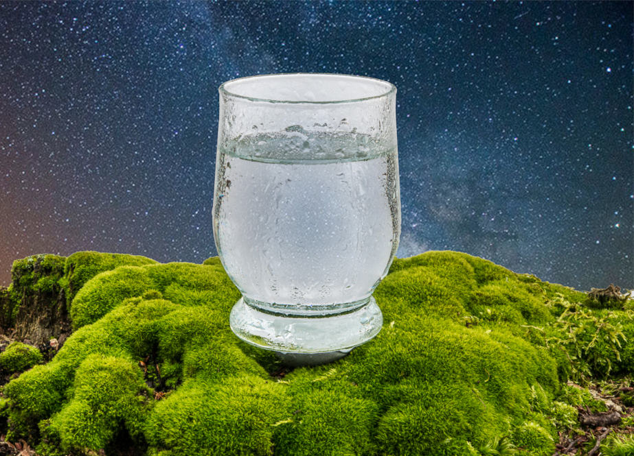 Trinkwasserfilter Okato Nature + Trinkwasser-Wirbler Trinity