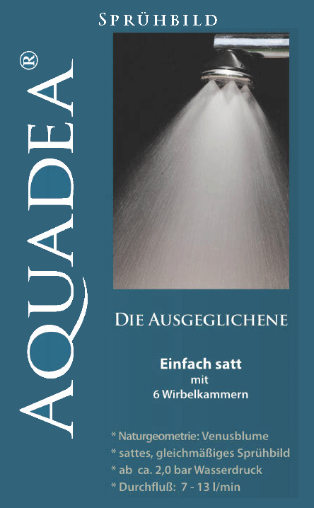 Kristallwirbel Duschkopf „True Self 6“ - Titan-Platin