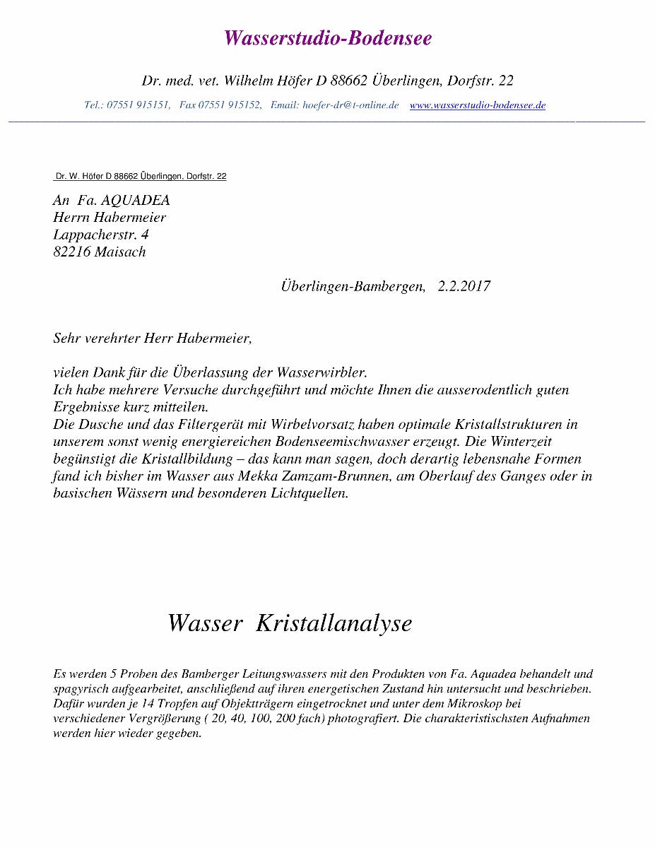 Kristallwirbel®-Kammer Wasserverwirbler LifeSource "Empowerment" | Titan-Gold | Basis-Einheit