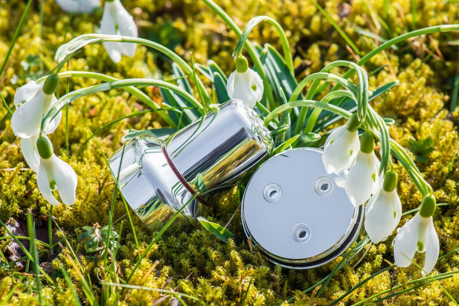 Kristall-Wirbelkammer Wasserverwirbler LifeSource "Trinity" | Silber - AQUADEA GmbH